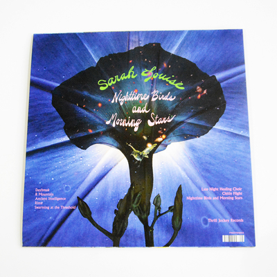 Sarahlouise nighttimebirdsandmorningstars backcover